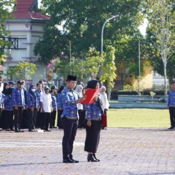 Gambar WhatsApp 2025-04-26 pukul 17.07.57_4d564aa1 Tenaga Honorer Berpeluang Menjadi PPPK Paruh Waktu