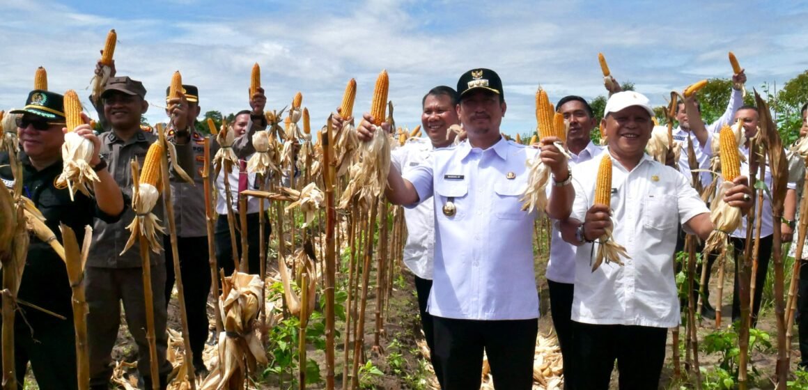 Bupati Panen Jagung dan Cabai di Lapas Sukamara