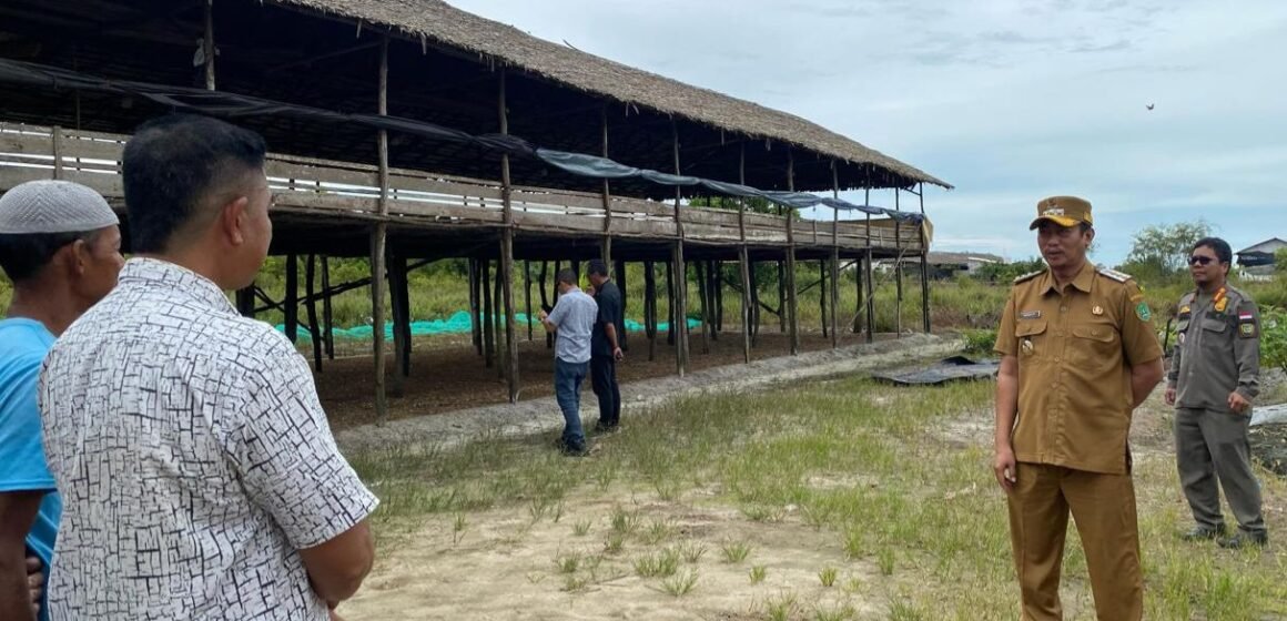 Wabah Lalat di Pantai Lunci, Bupati Tinjau Langsung Lokasi Kandang Ayam