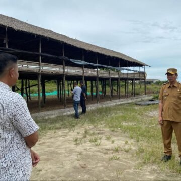 Wabah Lalat di Pantai Lunci, Bupati Tinjau Langsung Lokasi Kandang Ayam