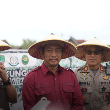 Dukung Ketahanan Pangan: Bupati Sukamara Panen Jagung Serentak di Demplot Taman Permata Sukma