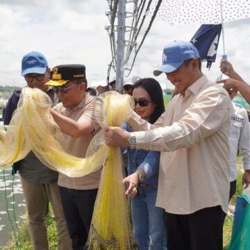Gubernur Kalteng Tinjau Tambak Udang Vaname di Sukamara: Dorong Peningkatan Ekonomi Pesisir