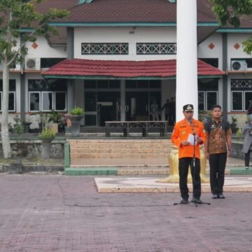 Angka Karhutla Menurun