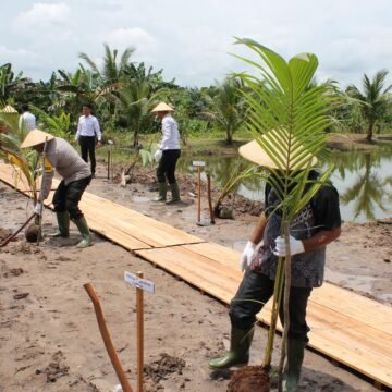 11f93541-45f8-440b-9476-62b7189908f6 Wabup Hadiri Penanaman Bibit Pohon Kelapa Serentak