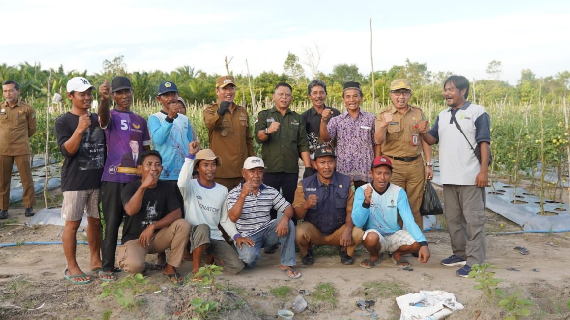 Bupati Dukung Gerakan Tanam Cepat Panen Komoditas Cabe