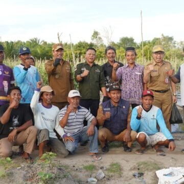 Bupati Dukung Gerakan Tanam Cepat Panen Komoditas Cabe
