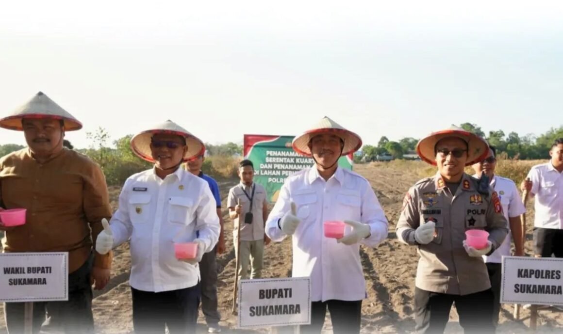Bupati Hadiri Penanaman Jagung Serentak Kuartal III