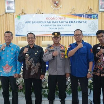 Perkuat Komitmen Menuju Tata Kelola Pemerintahan Inklusif Melalui APE