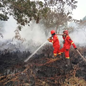Ancam Kesehatan dan Ekonomi, Bupati Sukamara Minta Warga Waspada Karhutla