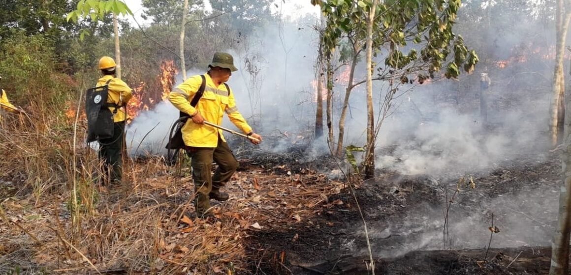 WhatsApp Image 2026-09-20 at 13.01.41 Musim Kemarau Pemicu Titik Api, Bupati Sukamara Imbau Warga Tak Buka Lahan dengan Dibakar