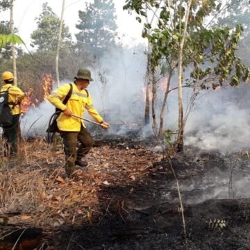 Musim Kemarau Pemicu Titik Api, Bupati Sukamara Imbau Warga Tak Buka Lahan dengan Dibakar
